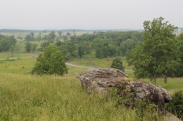 IMG_0267