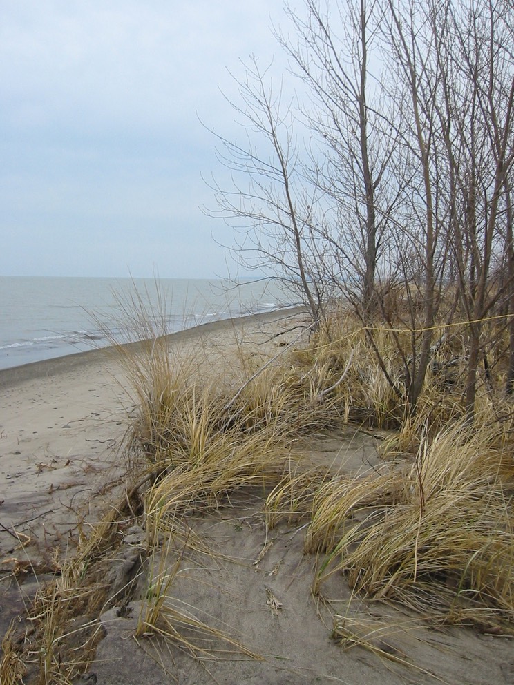 IMG_0353.JPG