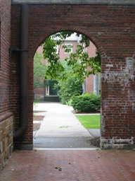 IMG_0423