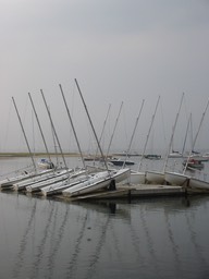 IMG_0441