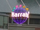 IMG_0505.jpg