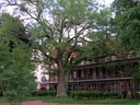 IMG_0602.jpg