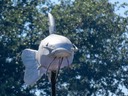 IMG_0787.jpg