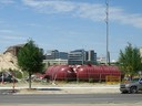 IMG_0907.jpg