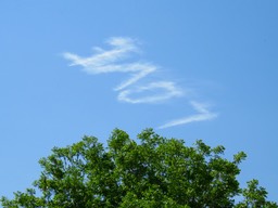 IMG_0917.jpg