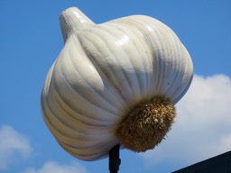 IMG_0982.jpg