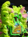 IMG_1023.jpg