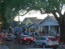 IMG_1519.jpg