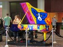 IMG_1536.jpg