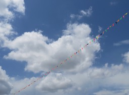 IMG_2079.jpg
