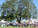 IMG_2907.jpg