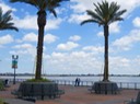 IMG_3231.jpg