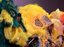 IMG_3304.jpg