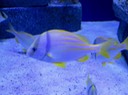 IMG_3324.jpg