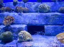 IMG_3327.jpg
