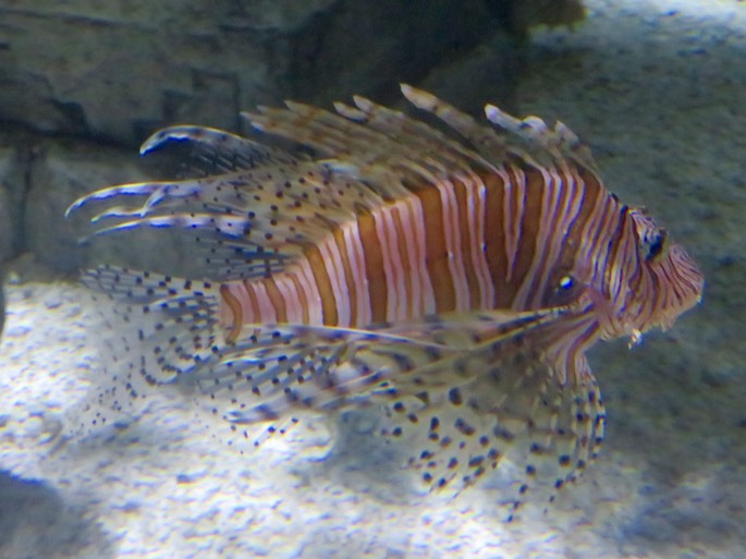 IMG_3341.jpg