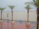 IMG_3360.jpg