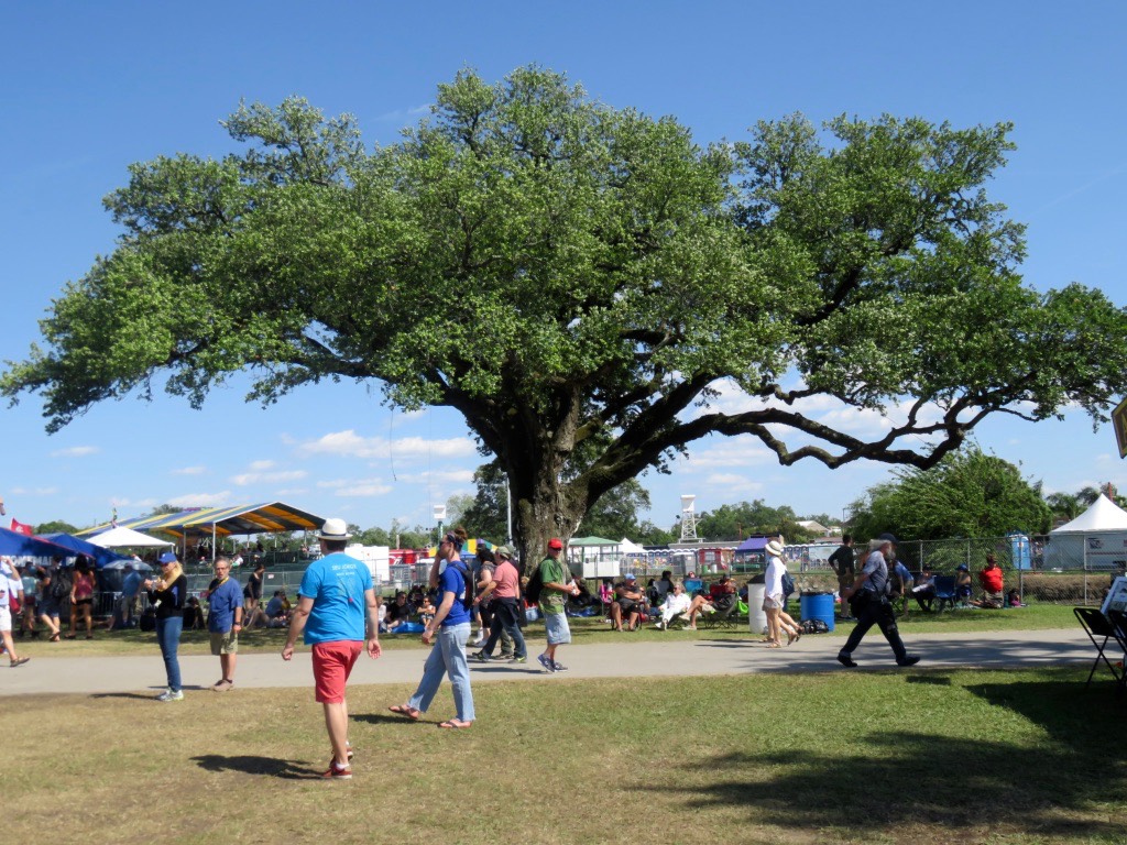 VQCgBAdbSMSJZxWM%dhHlw thumb 9002