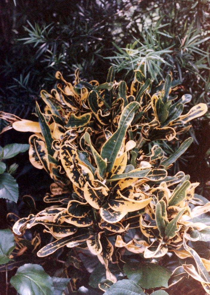 1986-05-B08