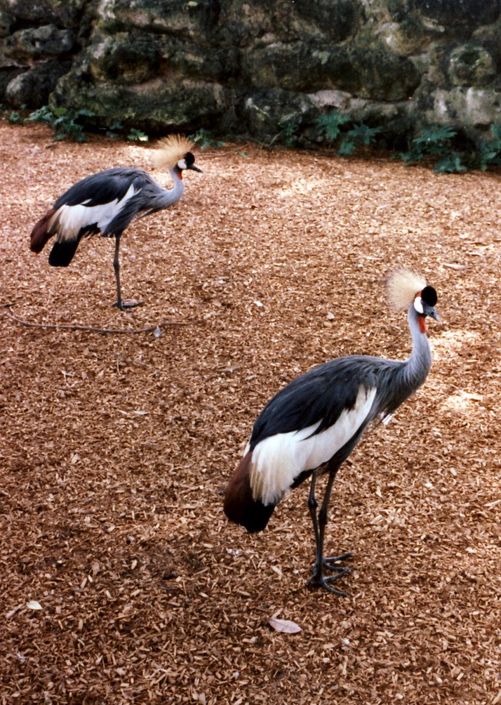 1986-05-B22
