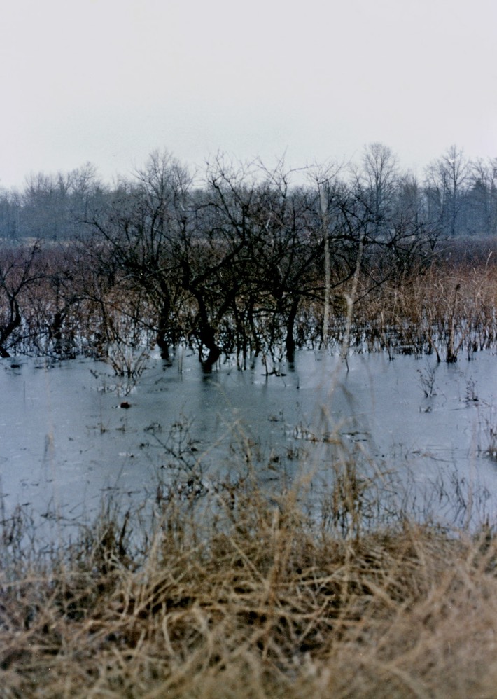 1986-12-B07