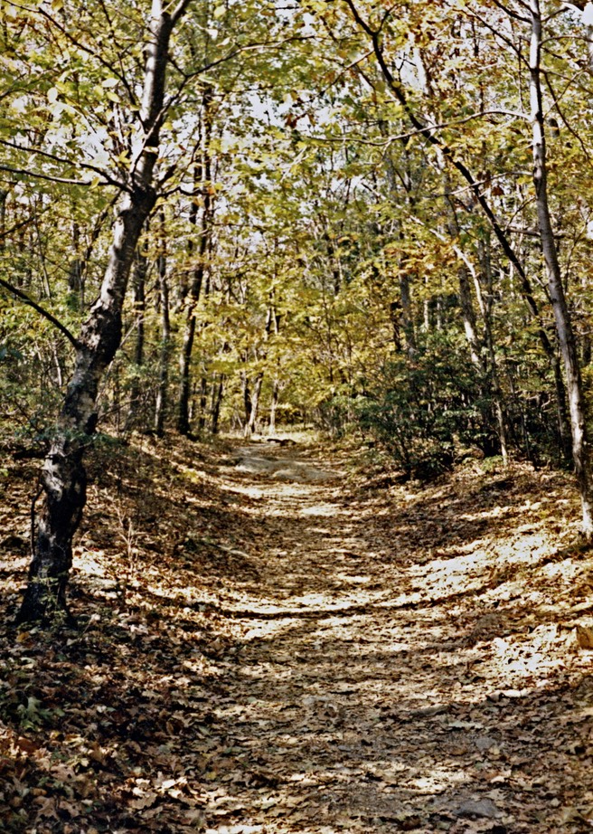 1987-10-A06