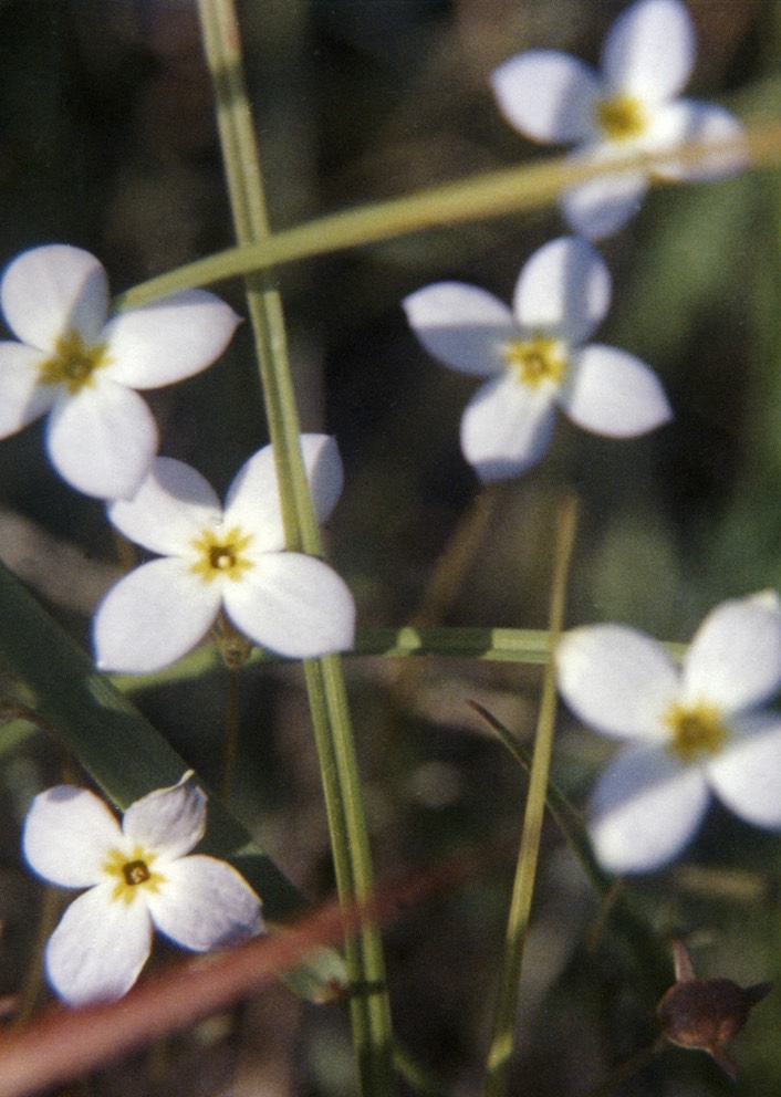1988-07-A19