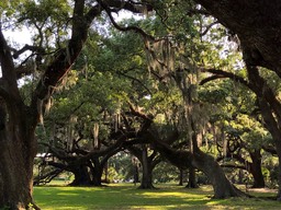 Days 6, 7, and 8 / The Daze Between ... Monday-Wednesday, April 29-May 1