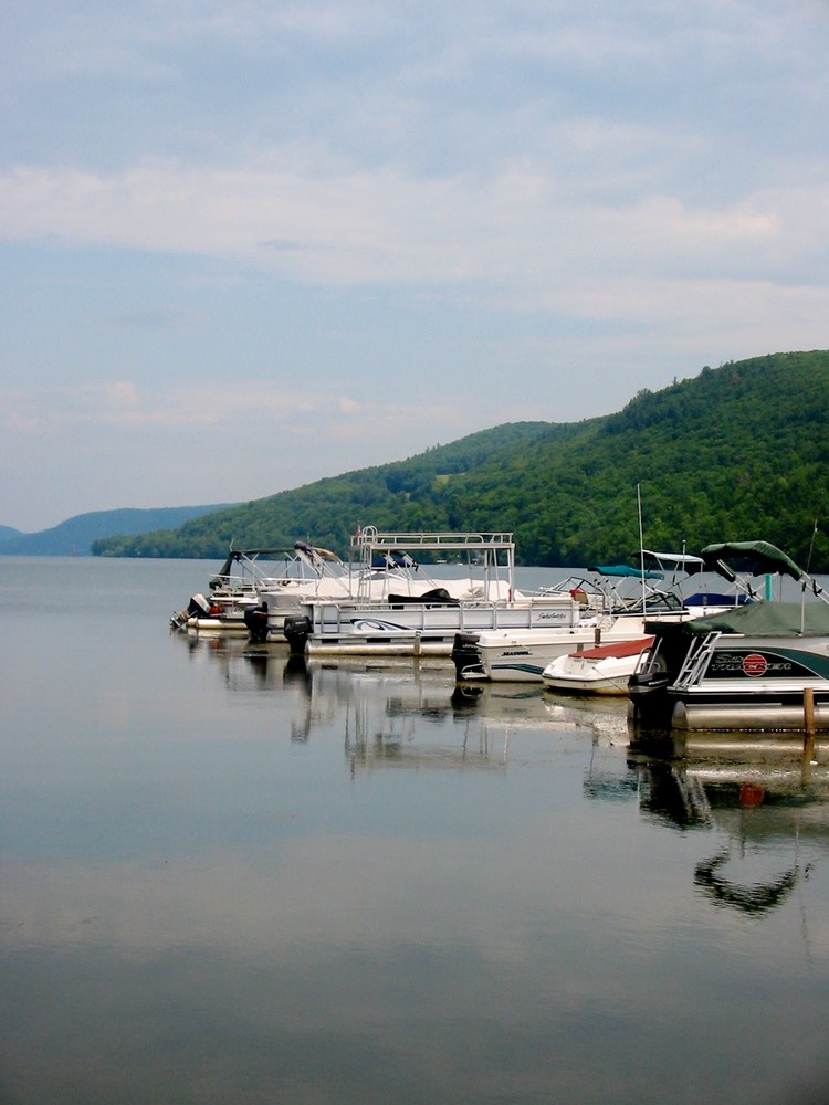 IMG_0008.JPG