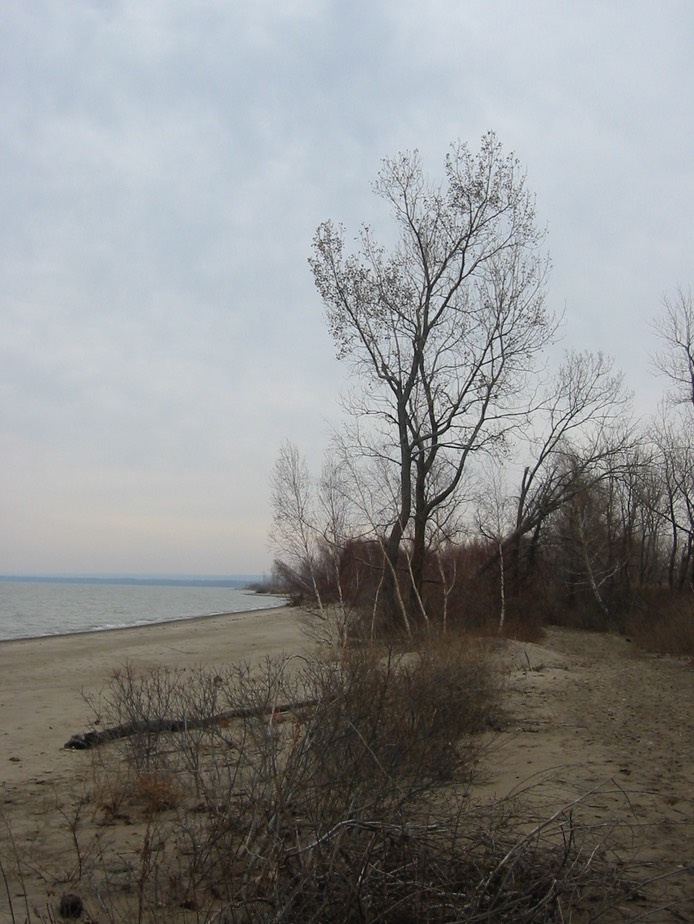 IMG_0336.JPG
