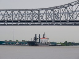 IMG_0517.jpg