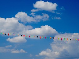 IMG_1349.jpg