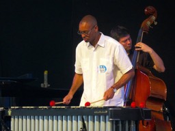 IMG_1381.jpg