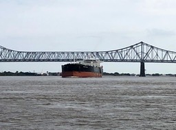 IMG_1497.jpg