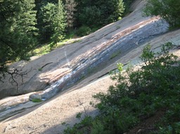 IMG_1694.JPG