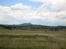 IMG_1768.JPG
