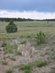 IMG_1774.JPG
