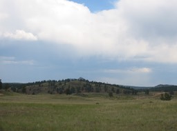 IMG_1782.JPG
