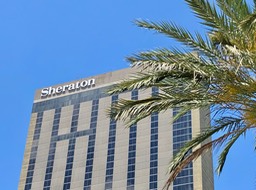 IMG_1787