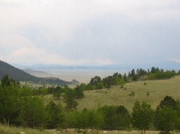 IMG_1790.JPG