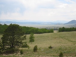 IMG_1792.JPG