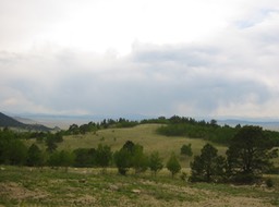 IMG_1793.JPG