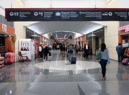 IMG_1801.jpg