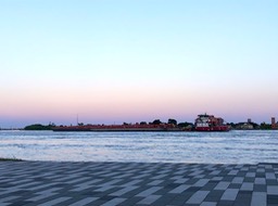 IMG_1809