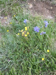 IMG_1849.JPG