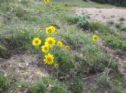 IMG_1850.JPG