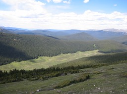 IMG_1905.JPG