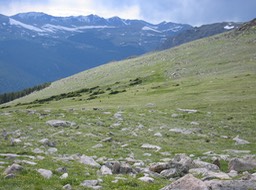 IMG_1951.JPG