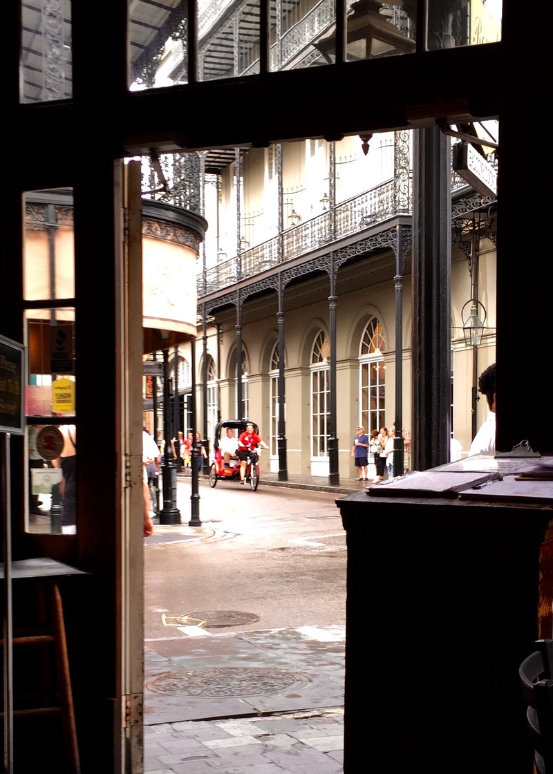 IMG_2259.jpg