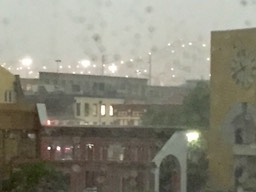 IMG_2331.jpg